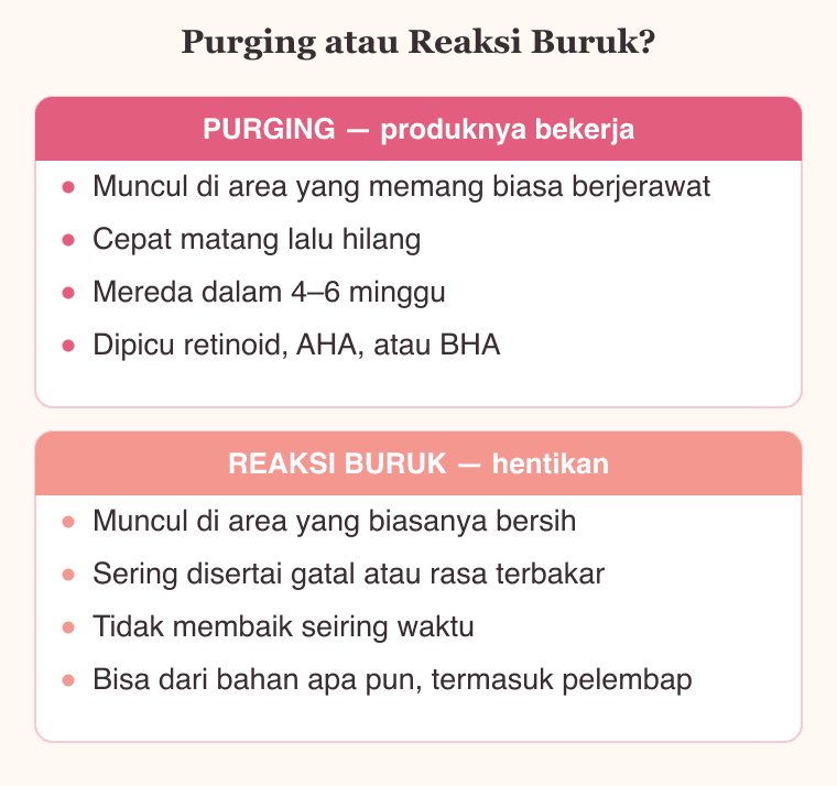 Bagan perbandingan ciri purging dan ciri reaksi buruk produk setelah memakai skincare baru, dua hal yang sering tertukar